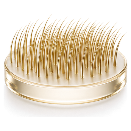 Illustration: full, dense hair